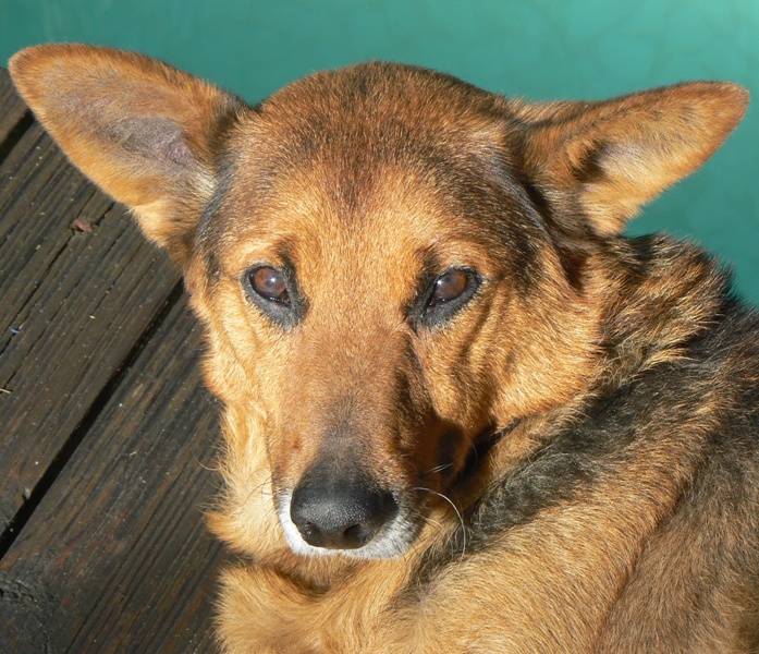 Goodbye, Max