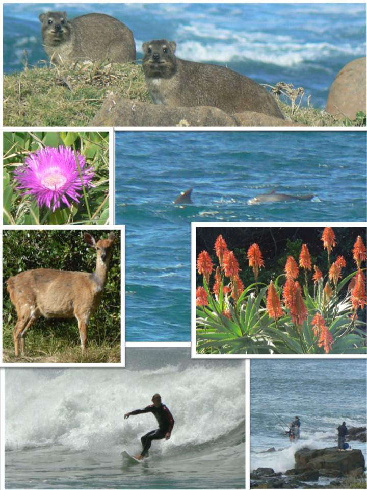 Distractions and diversions