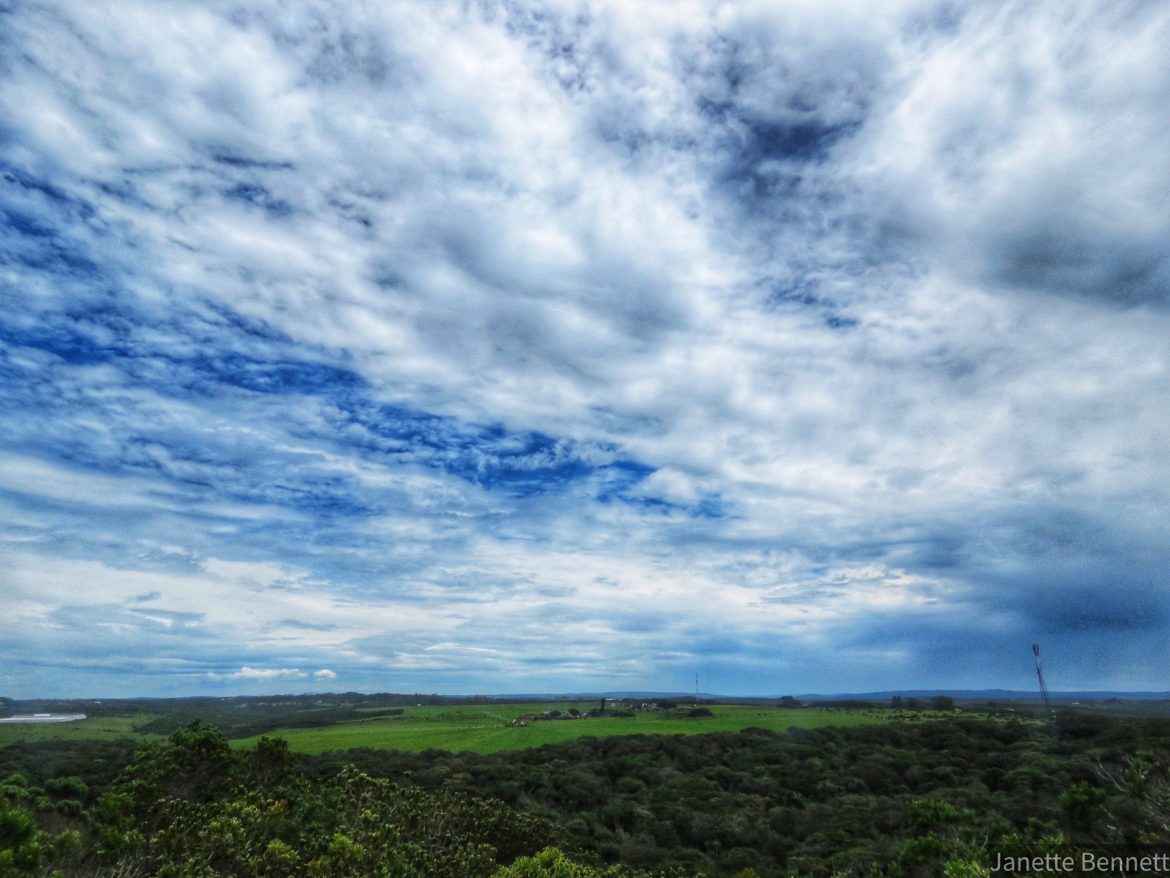 The high stakes of climate change denial